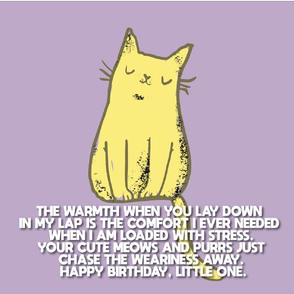 happy-birthday-cat-birthday-wishes-for-cats-01