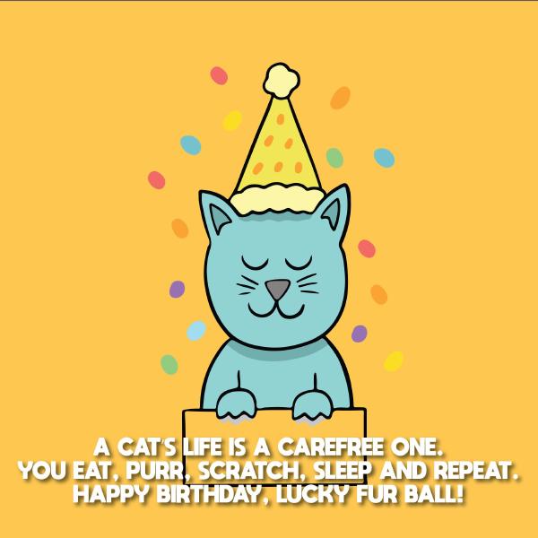 happy-birthday-cat-birthday-wishes-for-cats-04